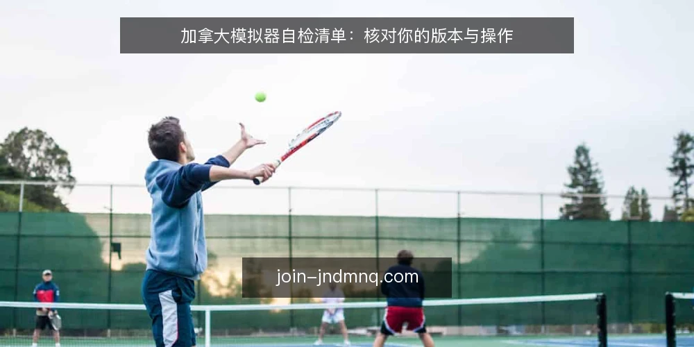 加拿大模拟器自检清单：核对你的版本与操作 — 信号观察：哪些迹象说明需要自检 配图