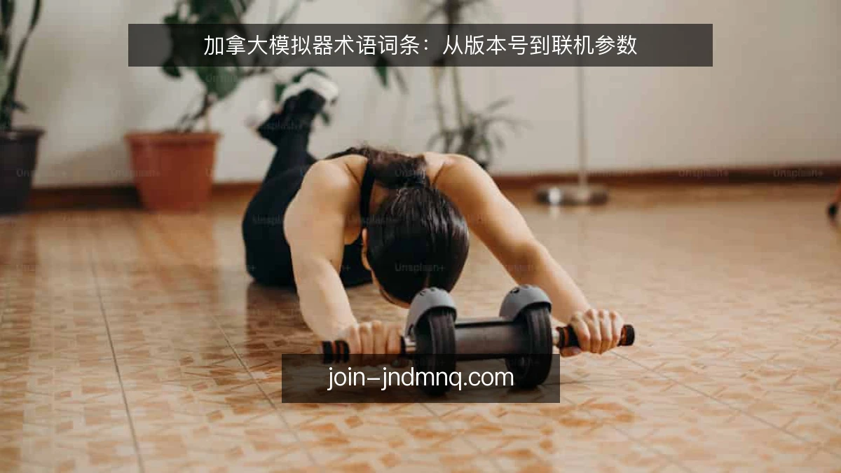 加拿大模拟器术语词条:从版本号到联机参数