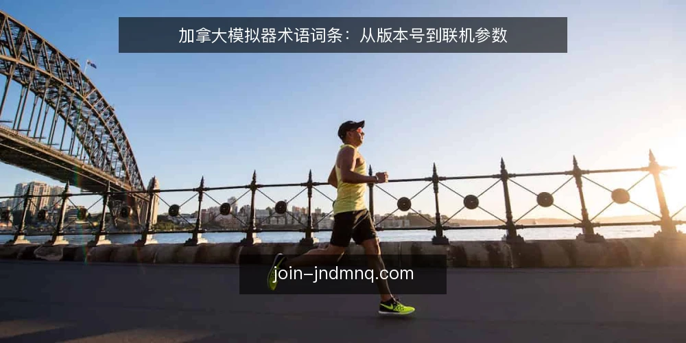 加拿大模拟器术语词条:从版本号到联机参数 — 现场需要盯住的信号 配图