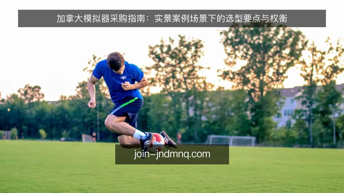 加拿大模拟器采购指南：实景案例场景下的选型要点与权衡
