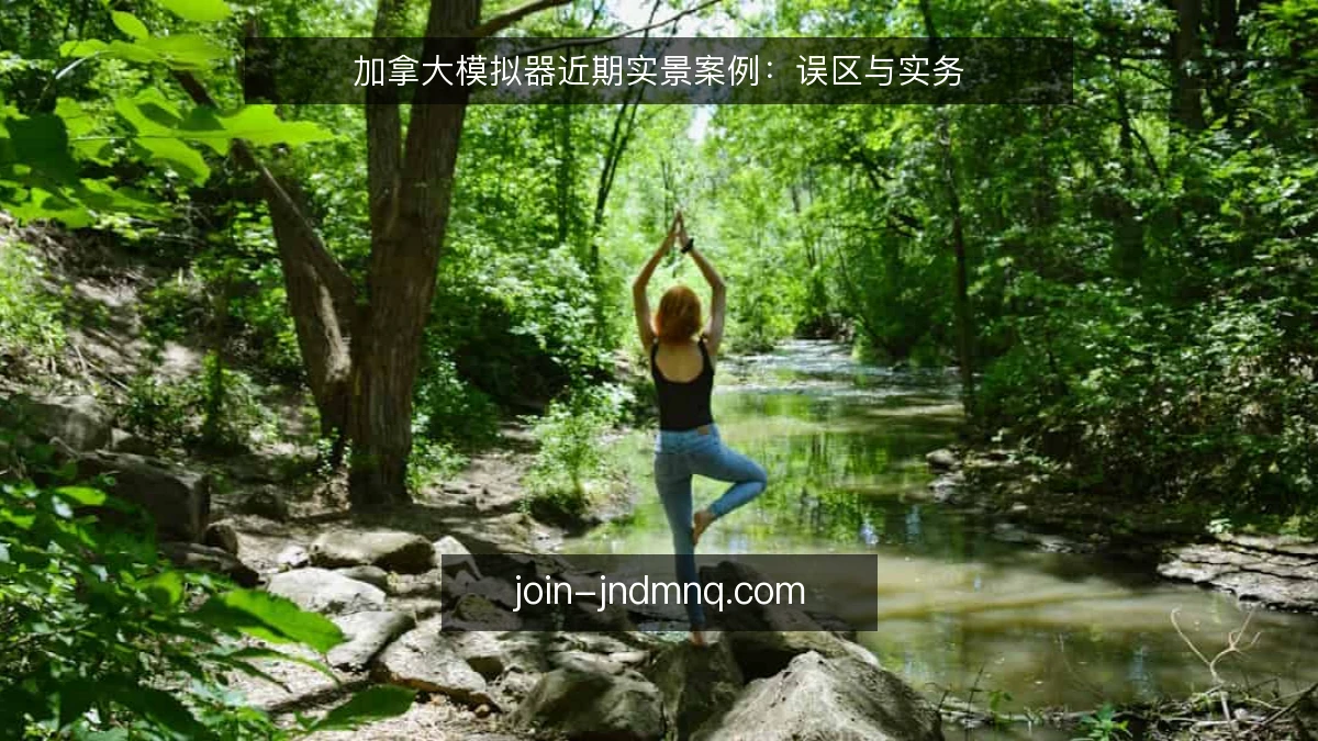 加拿大模拟器近期实景案例：误区与实务