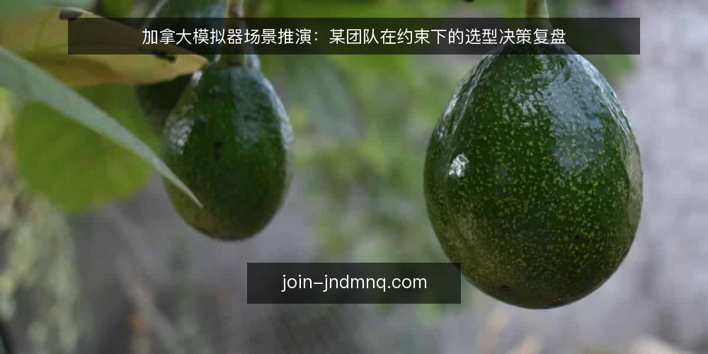加拿大模拟器场景推演:某团队在约束下的选型决策复盘 — 场景设定:某团队的需求与约束 配图